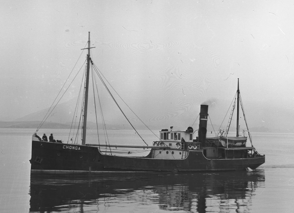 Chonga by T. Diedrich Chonga by T. Diedrich